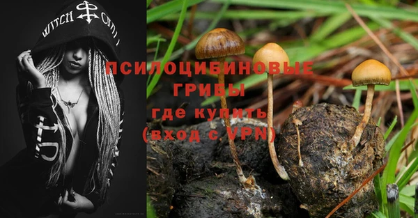 стафф Домодедово