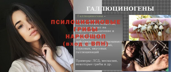 дмт Магадан