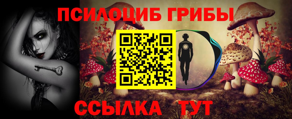 Галлюциногенные грибы Cubensis Пятигорск