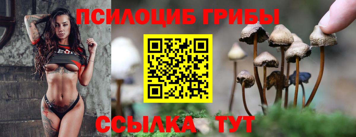 Галлюциногенные грибы Psilocybe  Вход с VPN  Пятигорск 