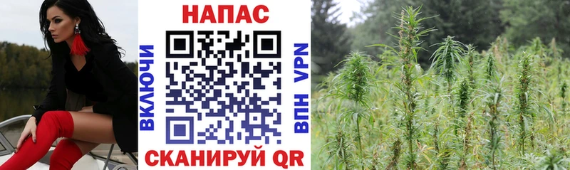МАРИХУАНА гибрид  где продают   Пятигорск 