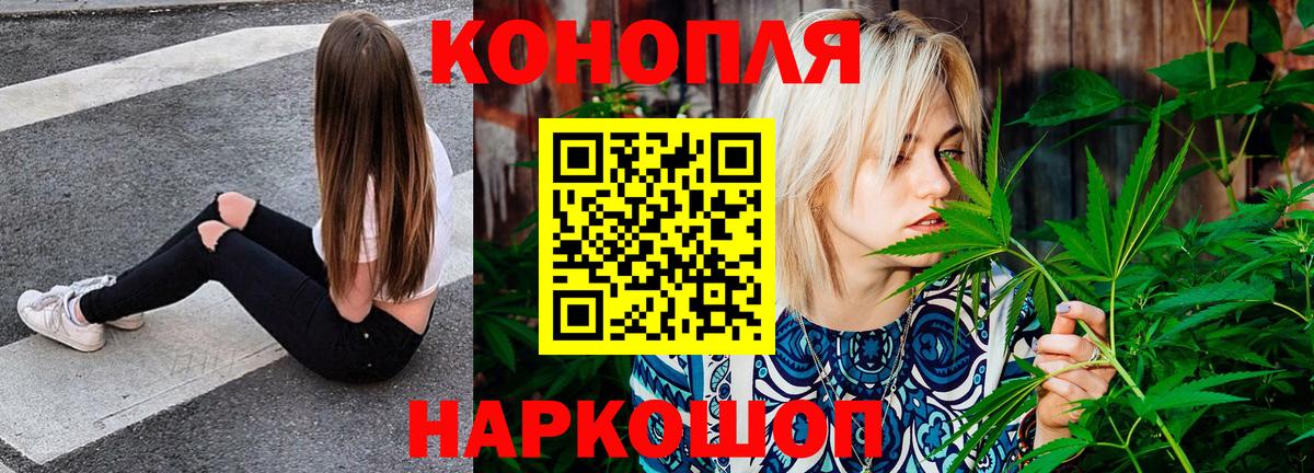 Канабис ГИДРОПОН Пятигорск